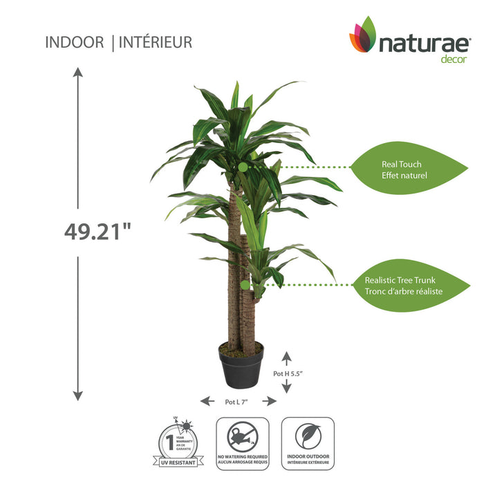 Dracaena artificiel de 49 po en pot noir
