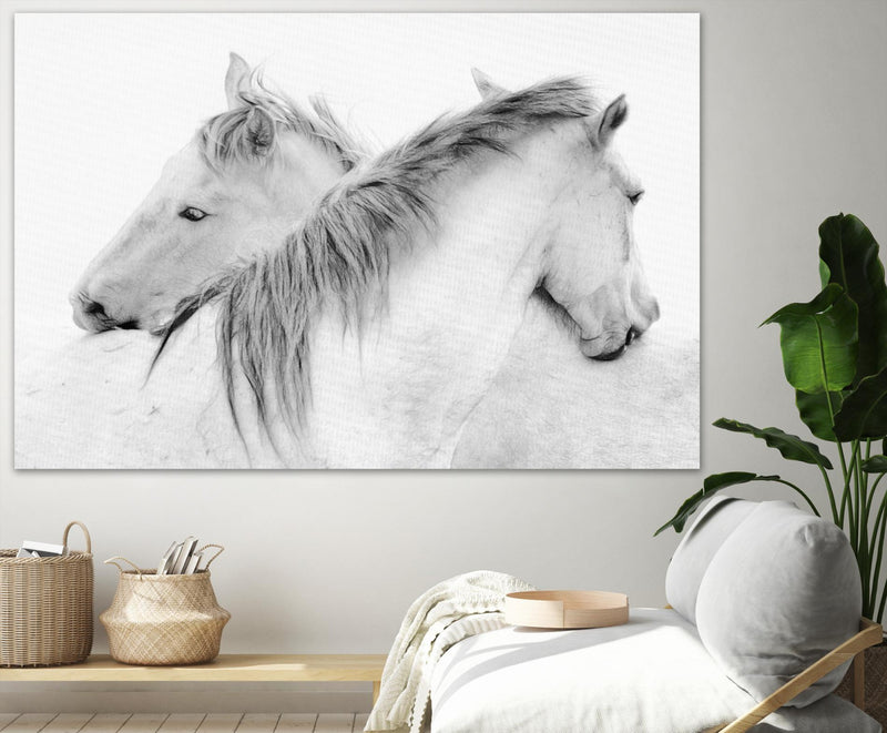 Œuvre d’art murale Giant Art « Stas - Horses » 72 x 48