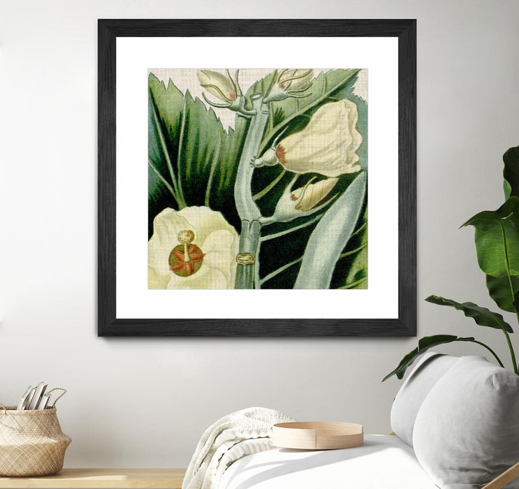 Œuvre d’art murale encadrée noire et mate « Cropped Turpin Tropicals Iii » 30 x 30