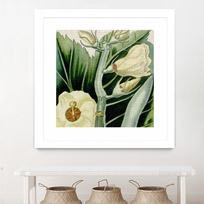 Œuvre d’art murale encadrée blanche et mate « Cropped Turpin Tropicals Iii » 36 x 36