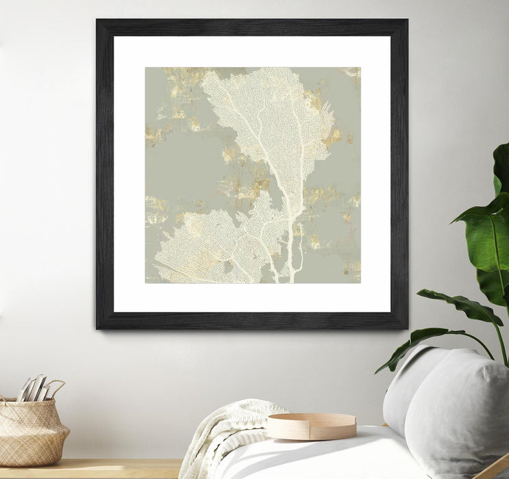 Œuvre d’art murale encadrée noire et mate « Sea Coral Ii » 36 x 36