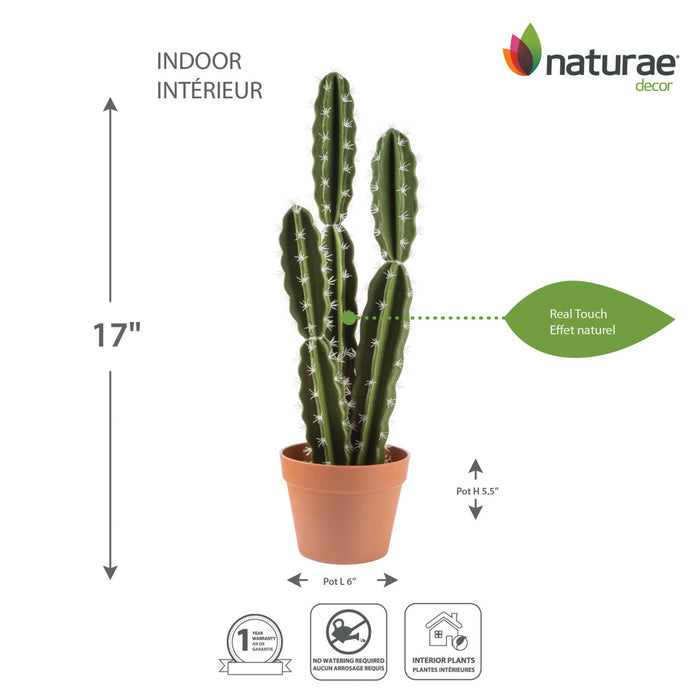 Cactus mexicain artificiel de 26 po en pot terracotta 