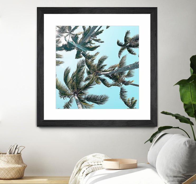 Œuvre d’art murale encadrée noire et mate « Palm 03 » 36 x 36