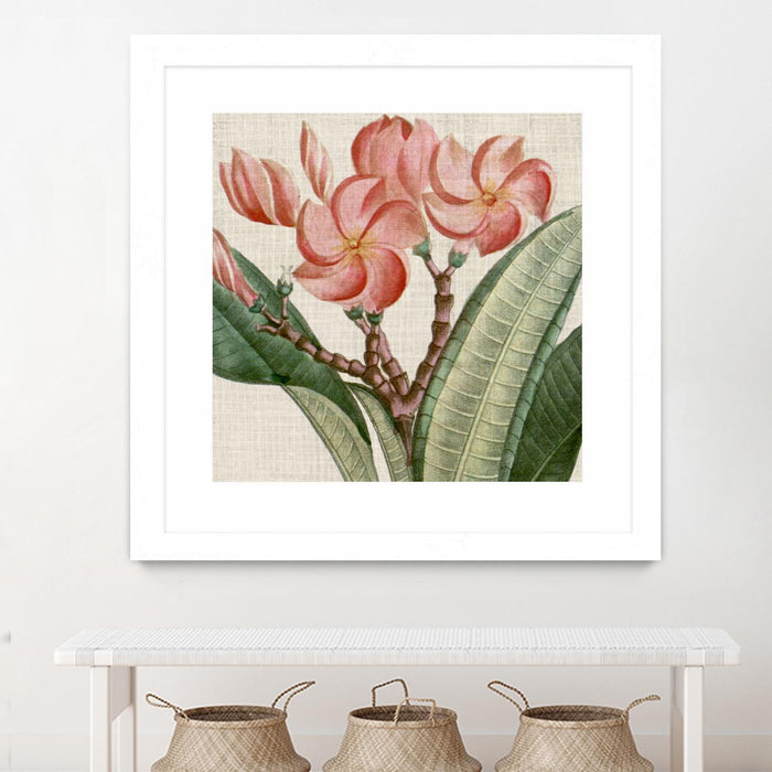Œuvre d’art murale encadrée blanche et mate « Cropped Turpin Tropicals Vii » 36 x 36