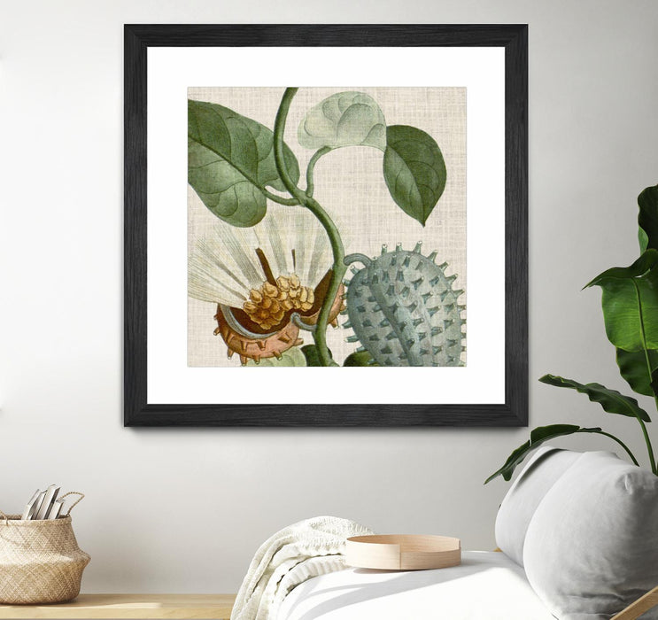 Œuvre d’art murale encadrée noire et mate « Cropped Turpin Tropicals Ii » 36 x 36