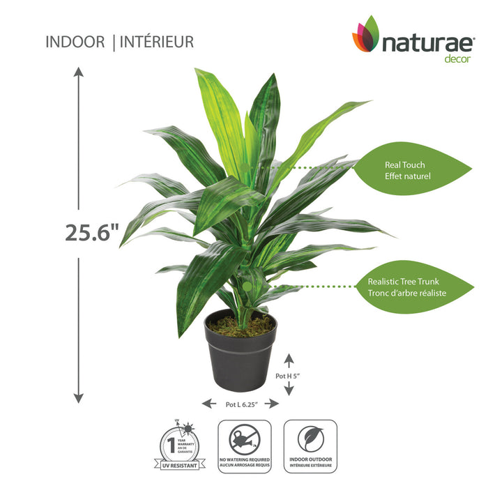 Dracaena artificiel de 25 po en pot noir
