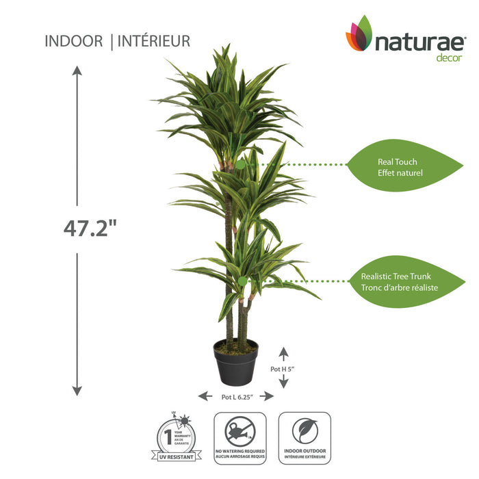 Dracaena artificiel de 47 po en pot noir
