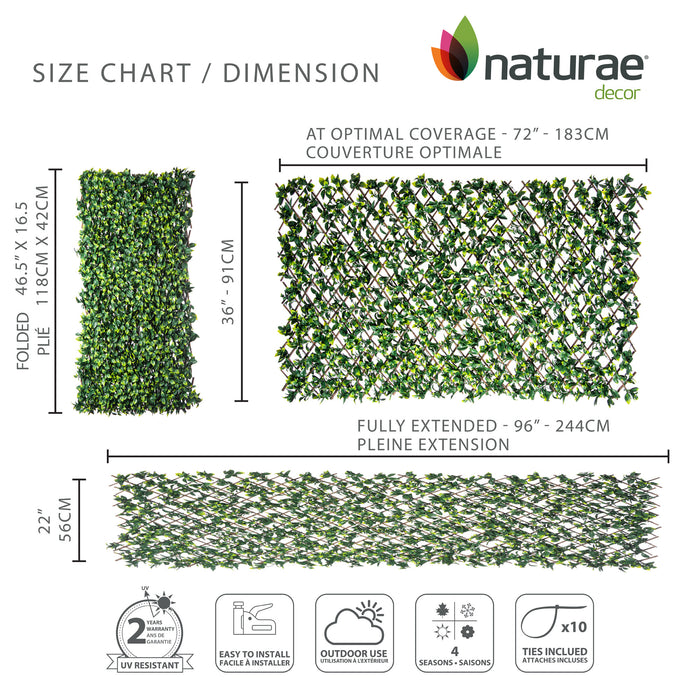 Treillis de saule extensible 36 po x 72 po avec feuilles de gardénia artificielles