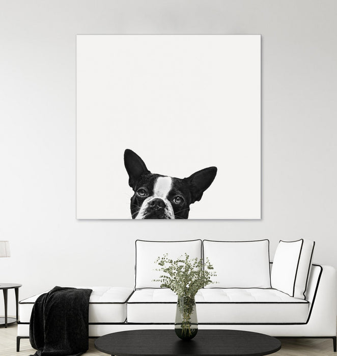 Œuvre d’art murale Giant Art « Loyalty » 72 x 72