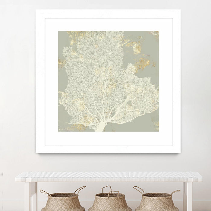 Œuvre d’art murale encadrée blanche et mate « Sea Coral I » 36 x 36