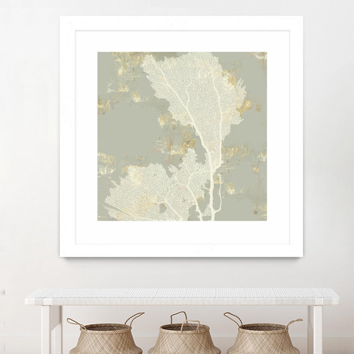 Œuvre d’art murale encadrée blanche et mate « Sea Coral Ii » 36 x 36
