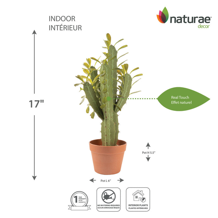 Cactus candélabre artificiel de 25 po en pot terracotta