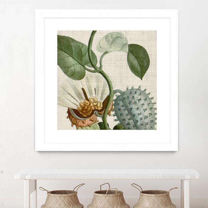 Œuvre d’art murale encadrée blanche et mate « Cropped Turpin Tropicals Ii » 36 x 36