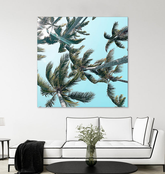Œuvre d’art murale Giant Art « Palm 03 » 72 x 72
