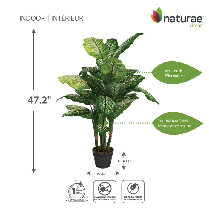 Dieffenbachia artificiel de 47 po en pot noir