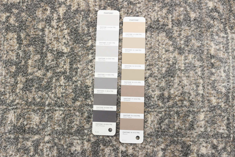 Carpette Ochoa gris - 6 pi 7 pox 9 pi 6 po