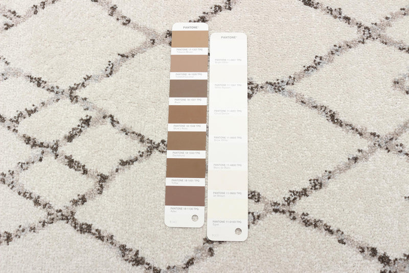 Carpette Jacey ivoire - 2 pi 7 pox 8 pi 0 po
