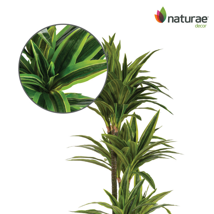 Dracaena artificiel de 47 po en pot noir