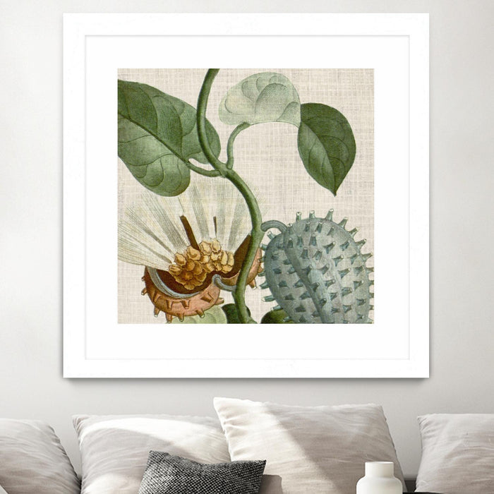 Œuvre d’art murale encadrée blanche et mate « Cropped Turpin Tropicals Ii » 36 x 36