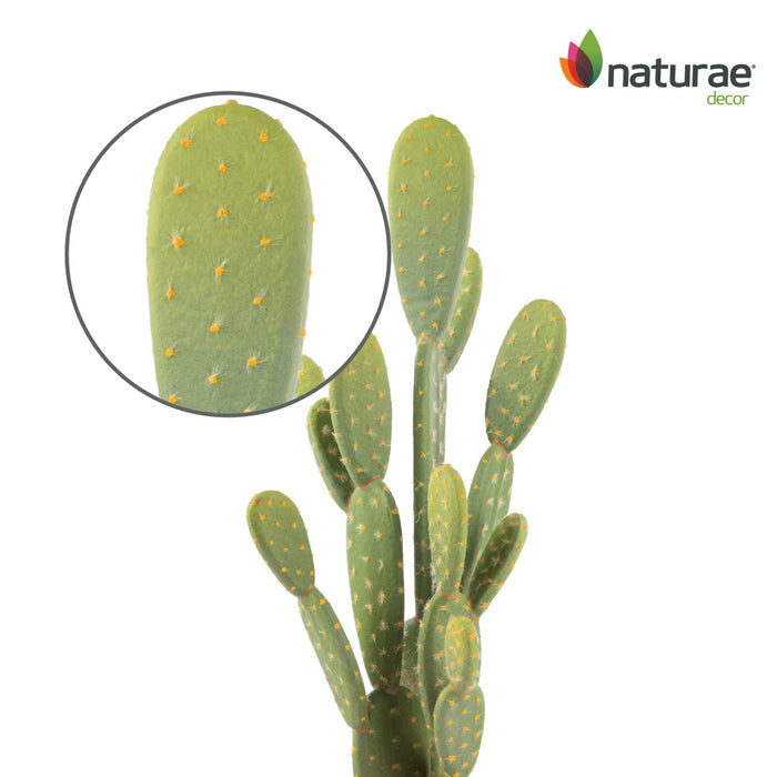 Cactus opuntia artificiel de 21 po en pot terracotta