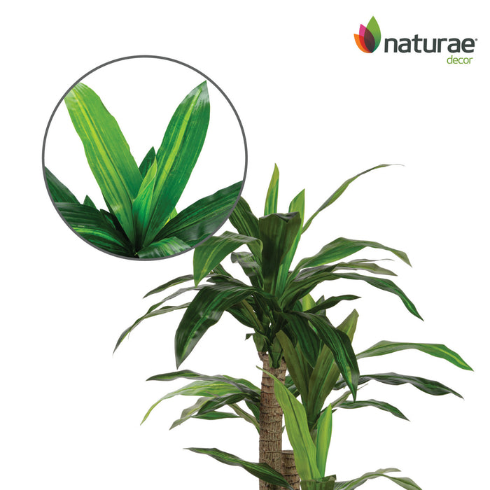Dracaena artificiel de 49 po en pot noir
