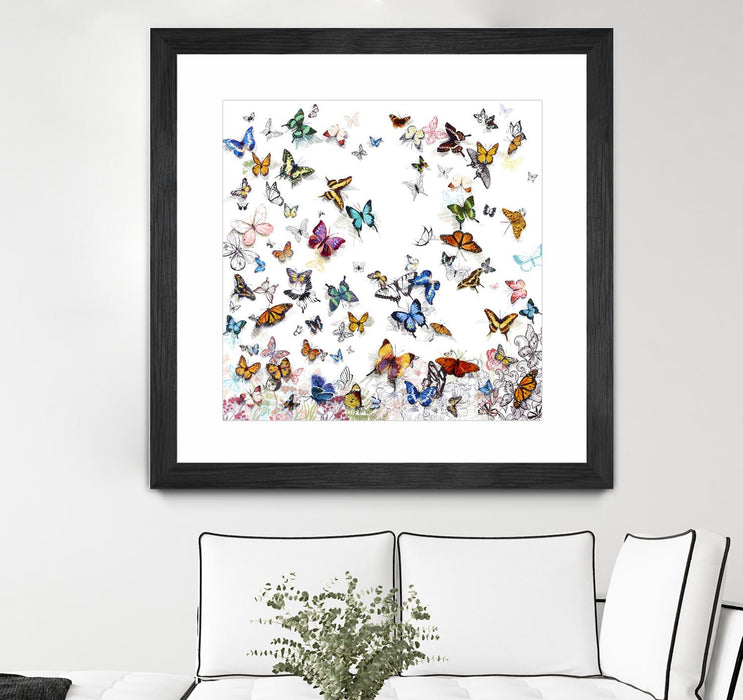Œuvre d’art murale encadrée noire et mate « Papillon » 30 x 30