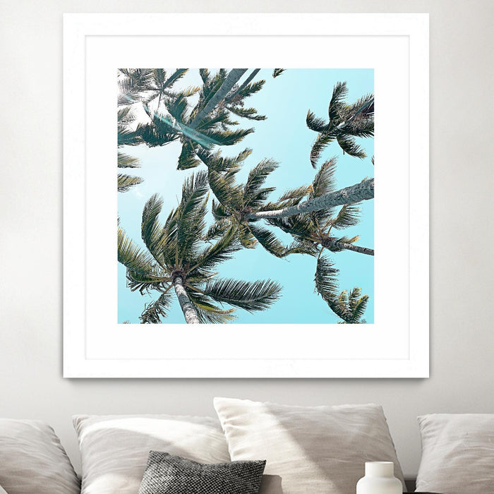 Œuvre d’art murale encadrée blanche et mate « Palm 03 » 36 x 36