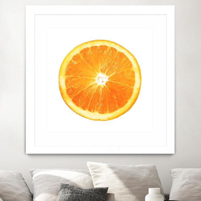 Œuvre d’art murale encadrée blanche et mate « Citrus Cultivar » 36 x 36