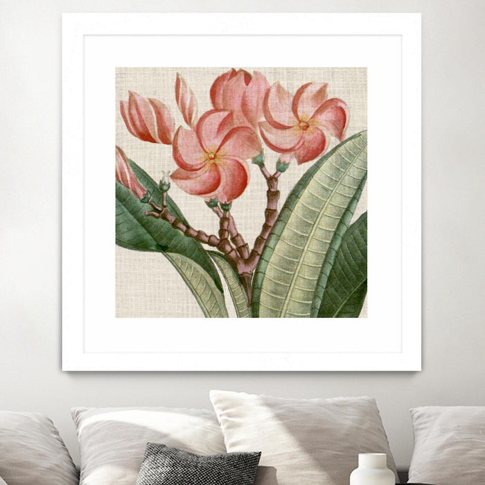 Œuvre d’art murale encadrée blanche et mate « Cropped Turpin Tropicals Vii » 36 x 36