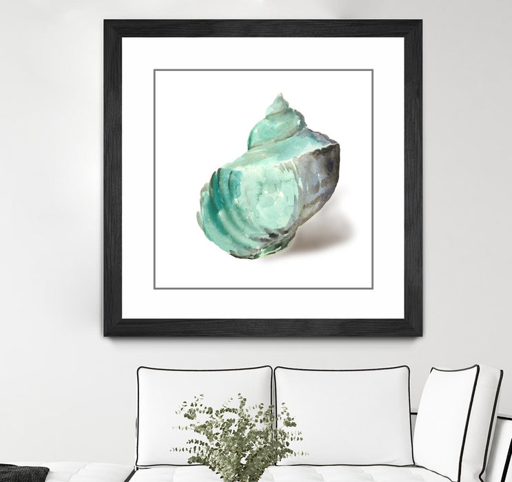 Œuvre d’art murale encadrée noire et mate « Shell In Mint » 30 x 30