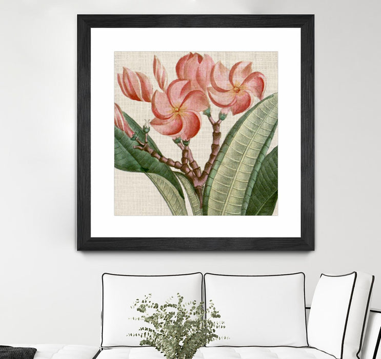 Œuvre d’art murale encadrée noire et mate « Cropped Turpin Tropicals Vii » 30 x 30