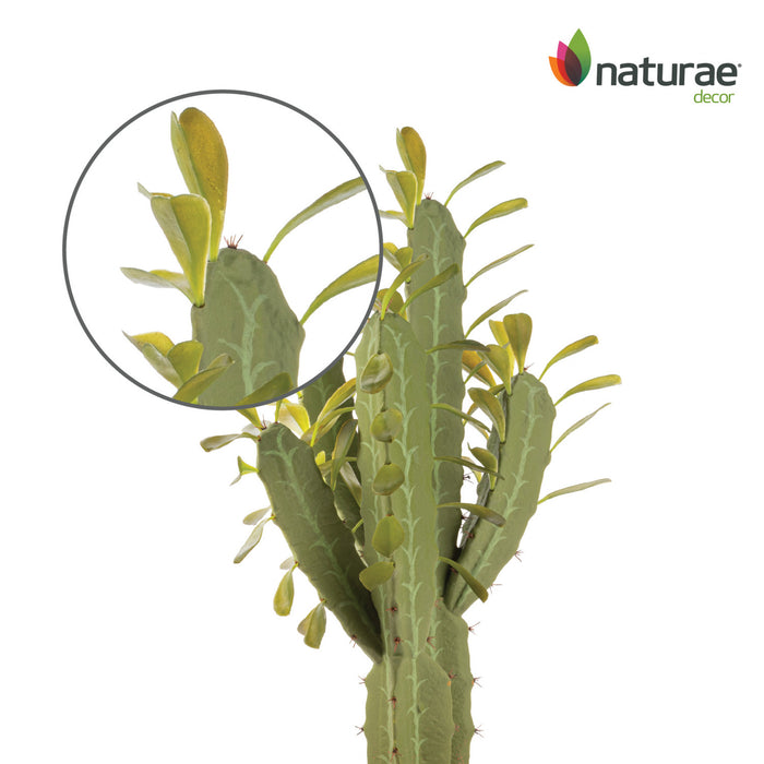 Cactus candélabre artificiel de 25 po en pot terracotta