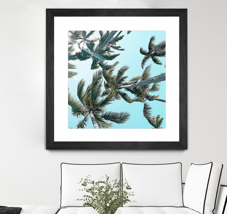 Œuvre d’art murale encadrée noire et mate « Palm 03 » 36 x 36