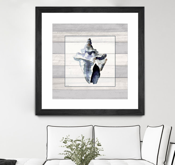 Œuvre d’art murale encadrée noire et mate « Muted Blue Sea Conch On Wood » 36 x 36