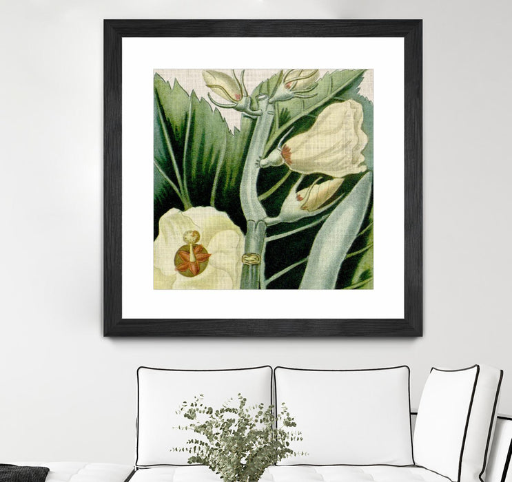 Œuvre d’art murale encadrée noire et mate « Cropped Turpin Tropicals Iii » 36 x 36