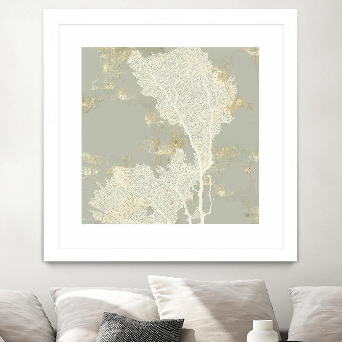 Œuvre d’art murale encadrée blanche et mate « Sea Coral Ii » 36 x 36