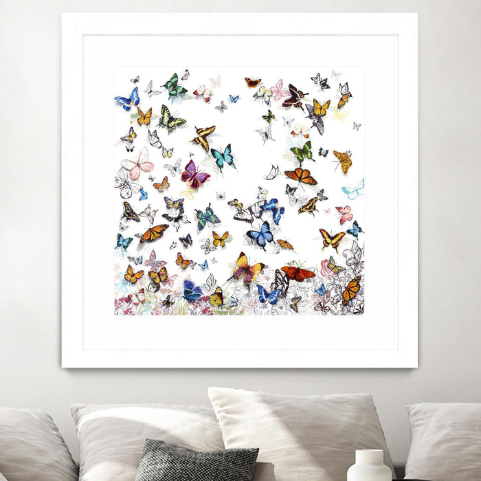Œuvre d’art murale encadrée blanche et mate « Papillon » 30 x 30