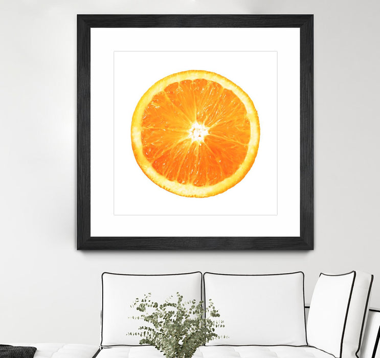 Œuvre d’art murale encadrée noire et mate « Citrus Cultivar » 30 x 30