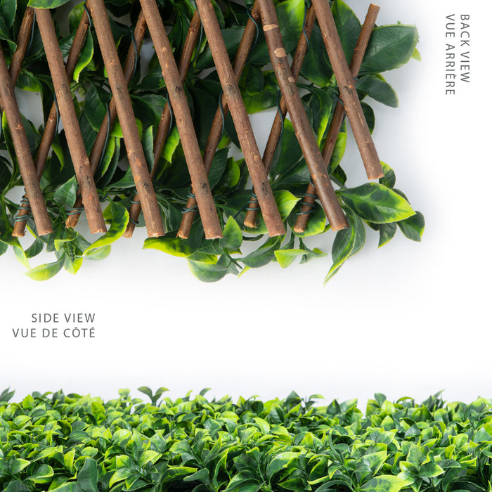 Treillis de saule extensible 36 po x 72 po avec feuilles de gardénia artificielles