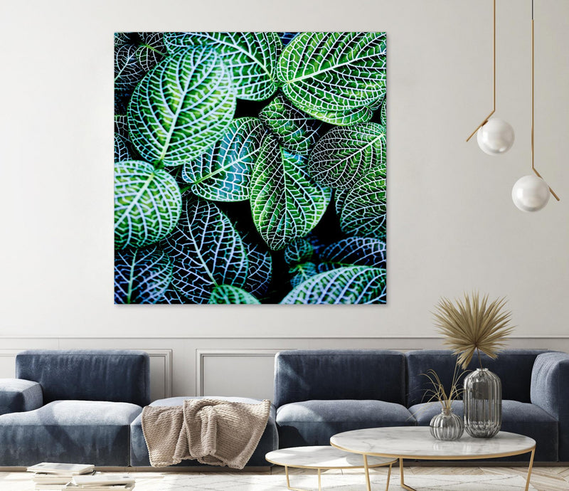 Œuvre d’art murale Giant Art « Leaf Viii » 54 x 54