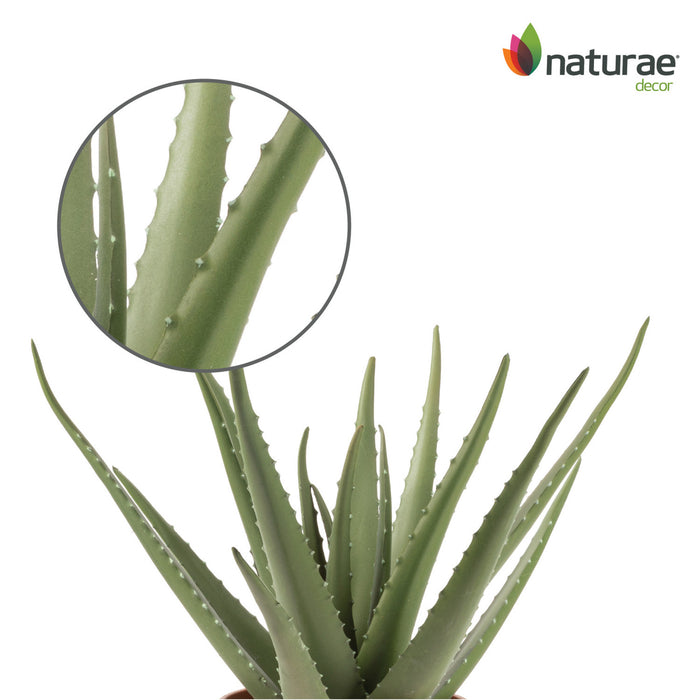 Aloe vera artificiel de 17 po en pot terracotta