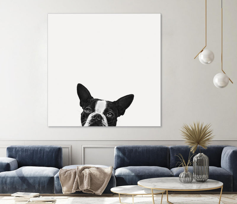 Œuvre d’art murale Giant Art « Loyalty » 72 x 72