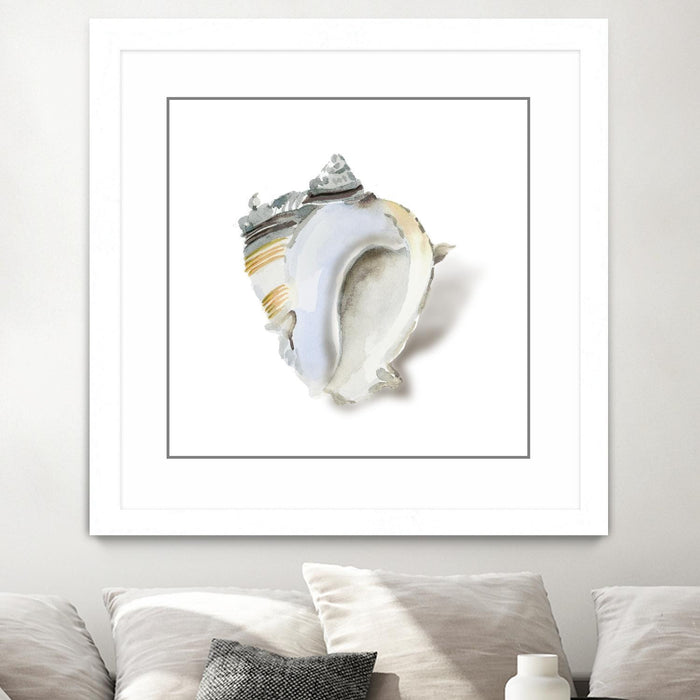 Œuvre d’art murale encadrée blanche et mate « Seafoam Shell » 36 x 36