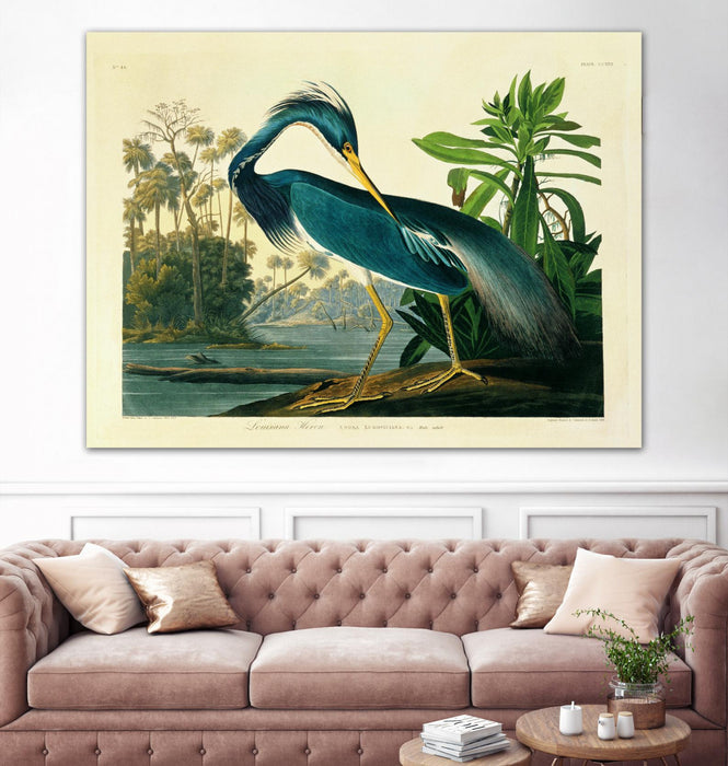 Œuvre d’art murale Giant Art « Louisiana Heron Plate 217 » 72 x 54