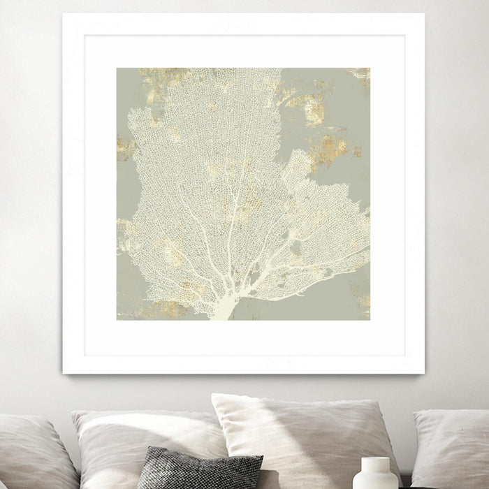 Œuvre d’art murale encadrée blanche et mate « Sea Coral I » 30 x 30