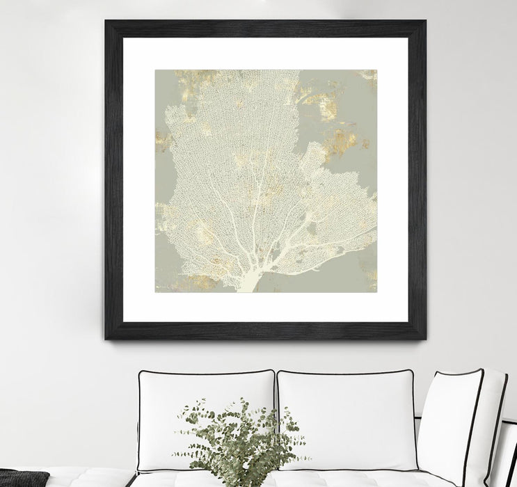 Œuvre d’art murale encadrée noire et mate « Sea Coral I » 30 x 30