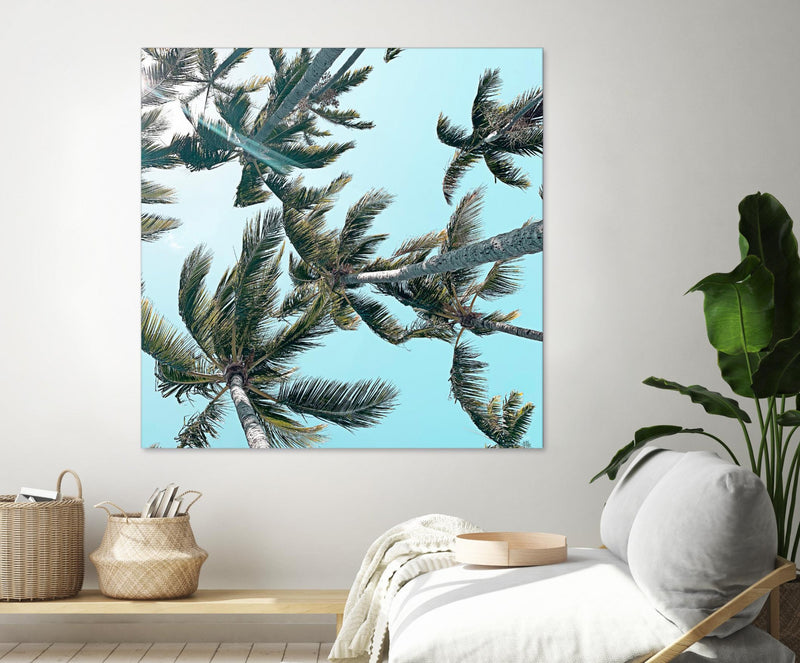 Œuvre d’art murale Giant Art « Palm 03 » 72 x 72