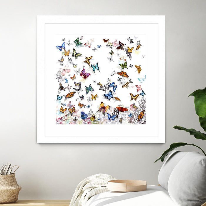 Œuvre d’art murale encadrée blanche et mate « Papillon » 36 x 36
