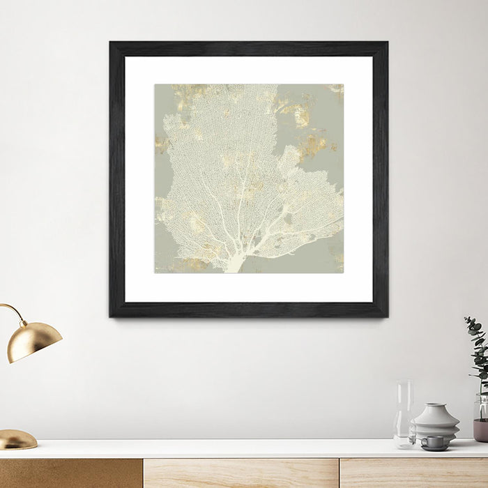 Œuvre d’art murale encadrée noire et mate « Sea Coral I » 36 x 36