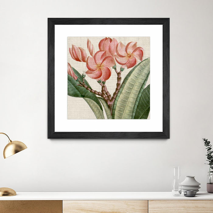 Œuvre d’art murale encadrée noire et mate « Cropped Turpin Tropicals Vii » 30 x 30